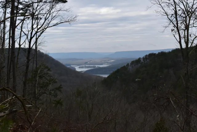 $849,900 | 1075 Birds Eye Way, Unit LOT 1075, Guild, TN 37340