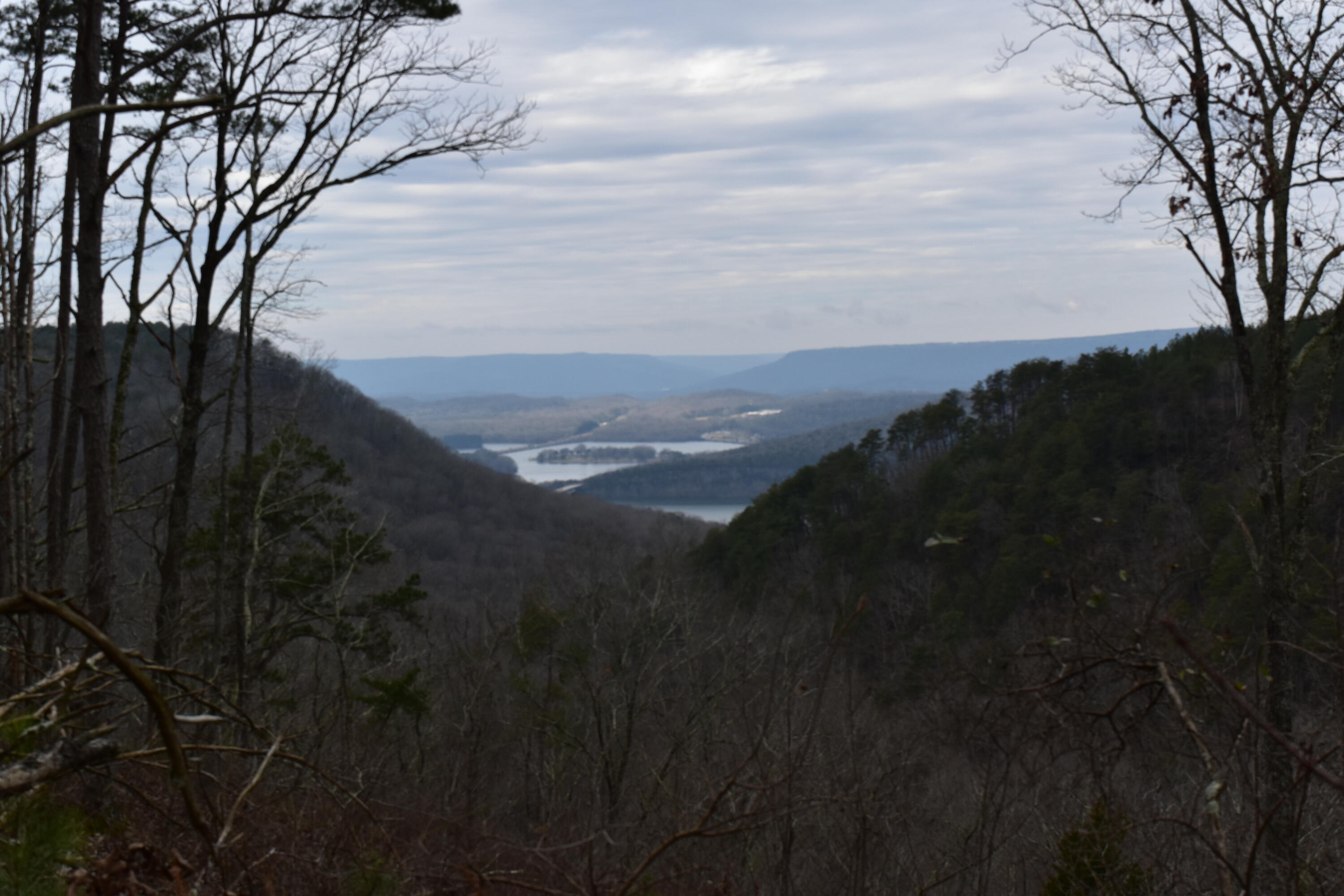 1075 Birds Eye Way, Unit LOT 1075 Guild, TN 37340 - Photo 2 of 33 DSC_0009