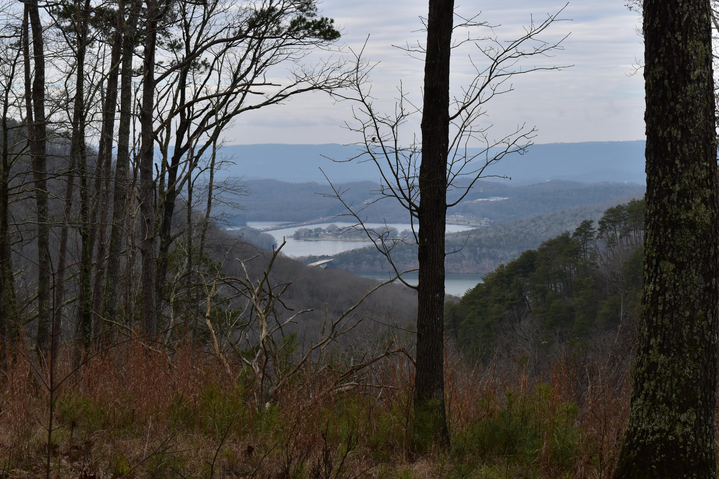 1075 Birds Eye Way, Unit LOT 1075 Guild, TN 37340 - Photo 24 of 33 DSC_0032