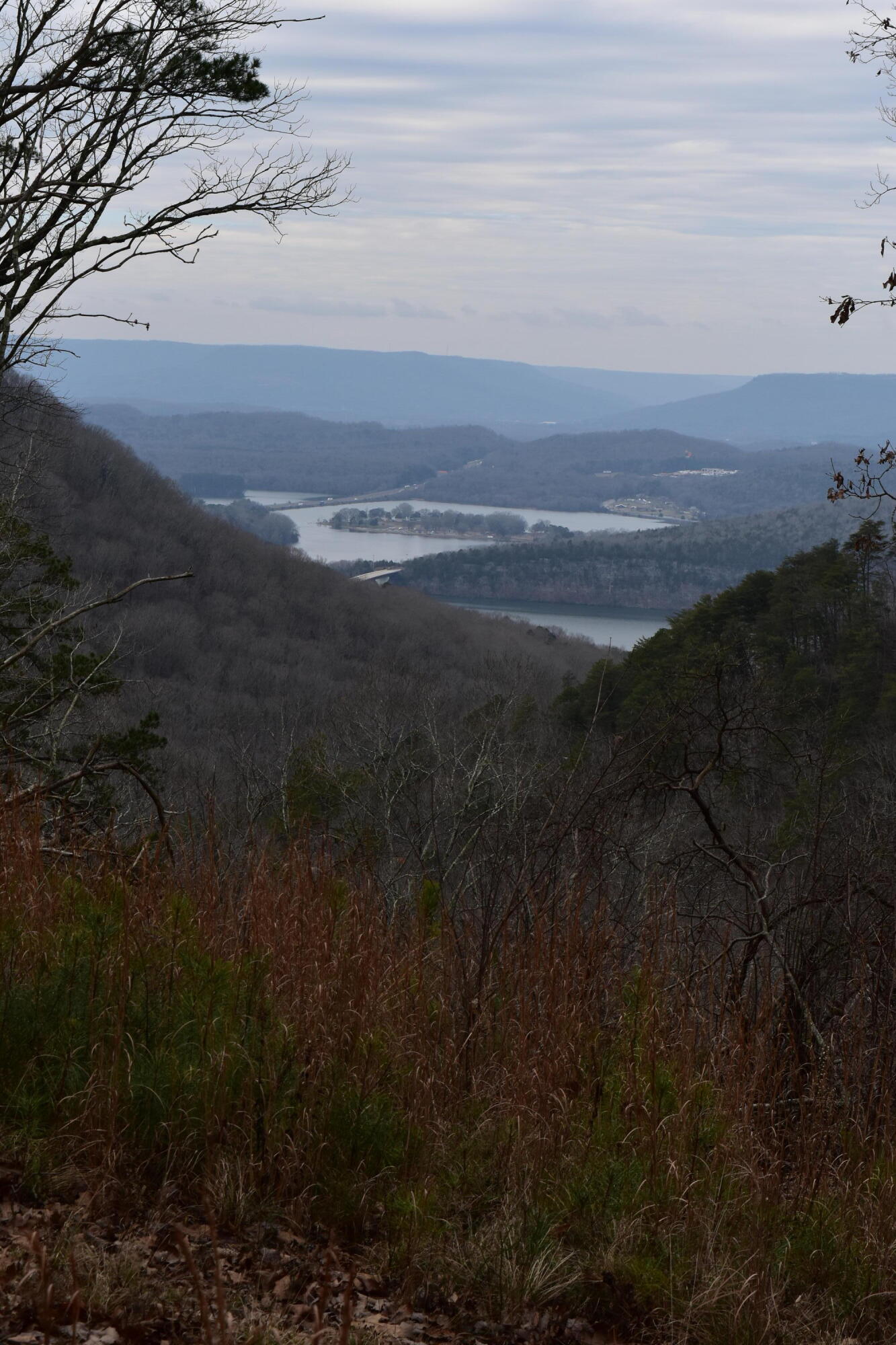1075 Birds Eye Way, Unit LOT 1075 Guild, TN 37340 - Photo 25 of 33 DSC_0033
