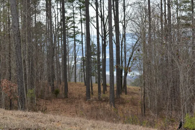 $849,900 | 1075 Birds Eye Way, Unit LOT 1075, Guild, TN 37340