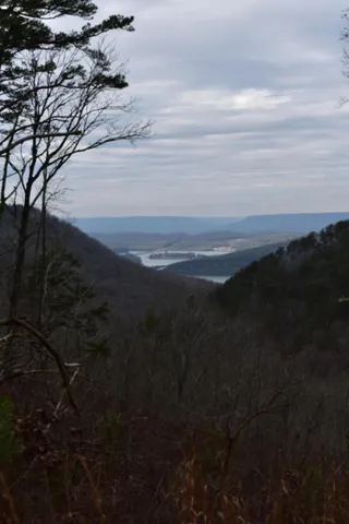 $849,900 | 1075 Birds Eye Way, Unit LOT 1075, Guild, TN 37340