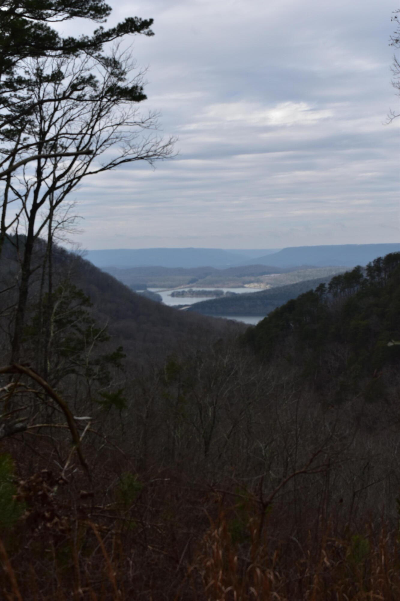 1075 Birds Eye Way, Unit LOT 1075 Guild, TN 37340 - Photo 3 of 33 DSC_0015