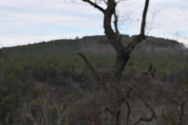 $849,900 | 1075 Birds Eye Way, Unit LOT 1075, Guild, TN 37340