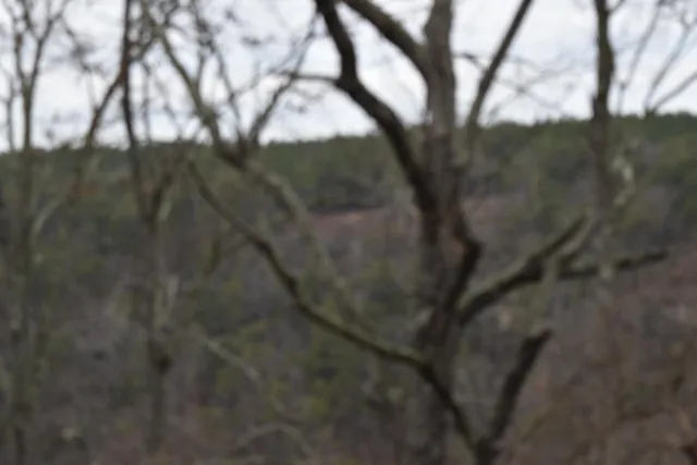 $849,900 | 1075 Birds Eye Way, Unit LOT 1075, Guild, TN 37340