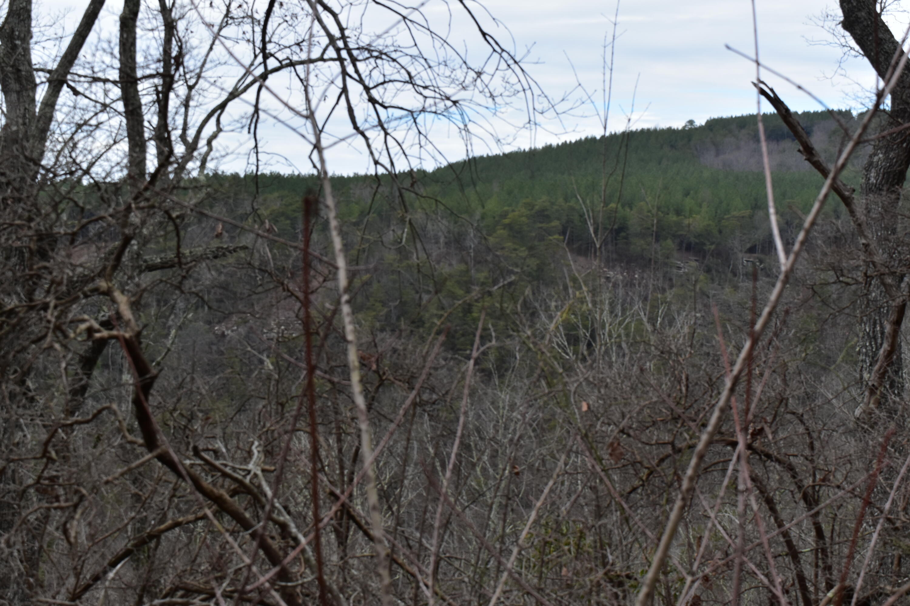 1075 Birds Eye Way, Unit LOT 1075 Guild, TN 37340 - Photo 7 of 33 DSC_0012