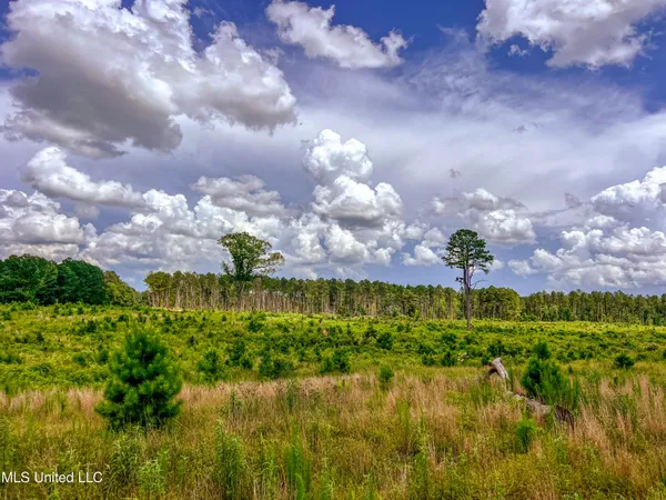 $112,500 | Graves Chapel Rd Road, Liberty, MS 39645