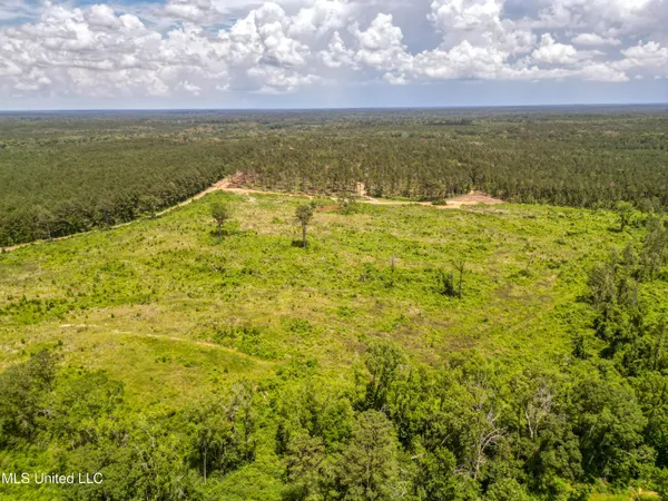 $112,500 | Graves Chapel Rd Road, Liberty, MS 39645