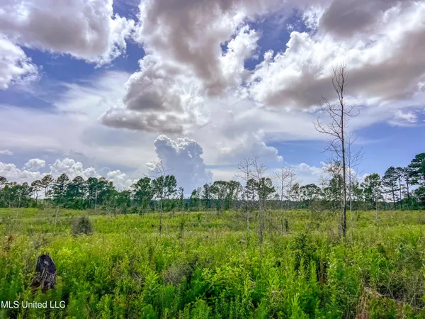 $112,500 | Graves Chapel Rd Road, Liberty, MS 39645