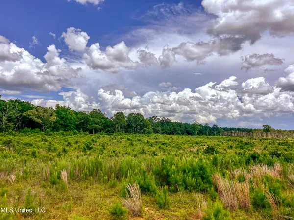 $112,500 | Graves Chapel Rd Road, Liberty, MS 39645