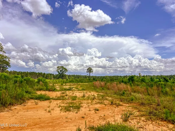 $112,500 | Graves Chapel Rd Road, Liberty, MS 39645
