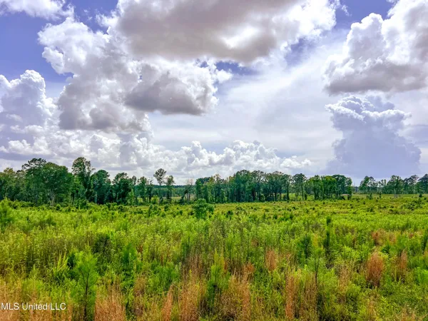 $112,500 | Graves Chapel Rd Road, Liberty, MS 39645