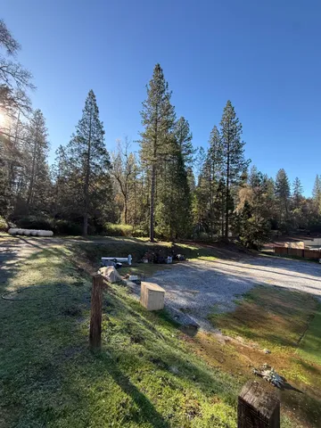a view of a yard with large trees