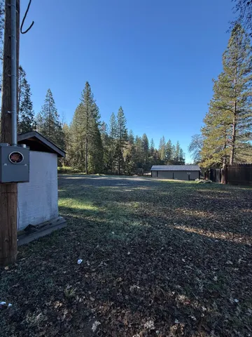 a view of dirt yard with a large tree