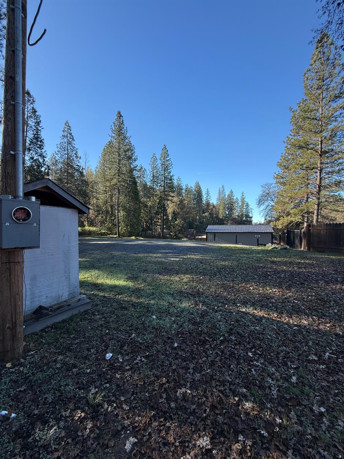 4876 Black Oak Mine Road Garden Valley, CA 95633 - Photo 17 of 31 a view of dirt field with trees