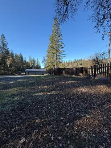 a view of dirt yard with a large tree