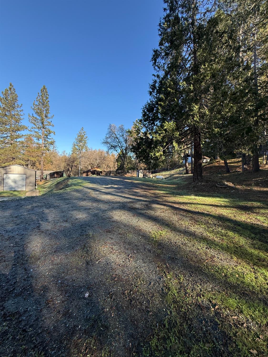 4876 Black Oak Mine Road Garden Valley, CA 95633 - Photo 22 of 31 a view of a yard with large trees