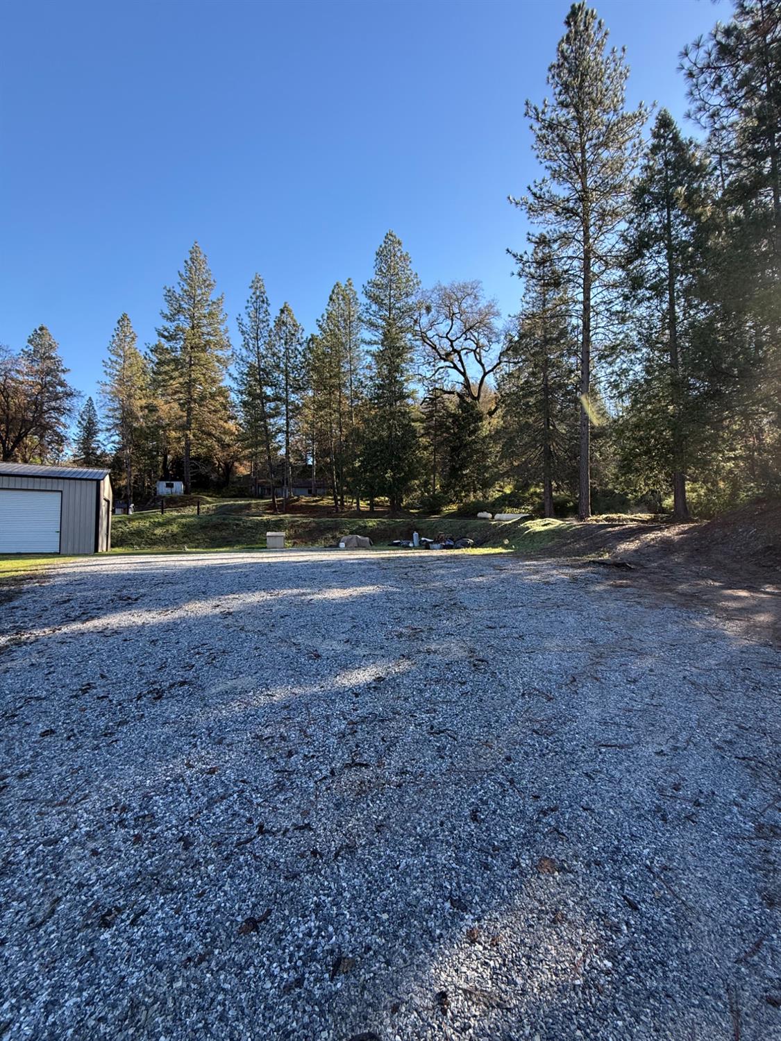 4876 Black Oak Mine Road Garden Valley, CA 95633 - Photo 28 of 31 a view of outdoor space with trees