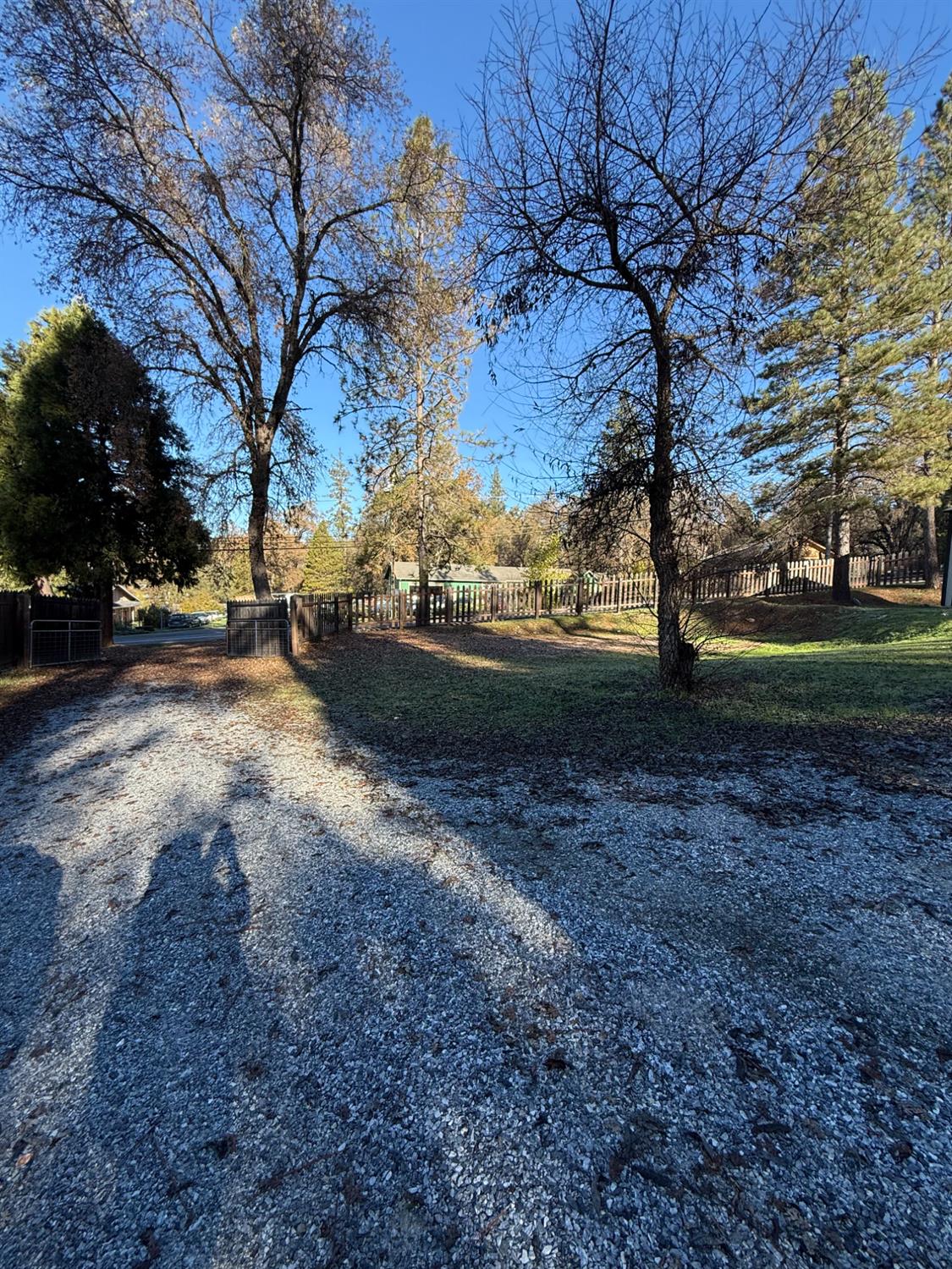4876 Black Oak Mine Road Garden Valley, CA 95633 - Photo 31 of 31 a view of dirt yard with a large tree
