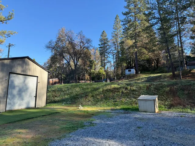a view of outdoor space with garden and trees