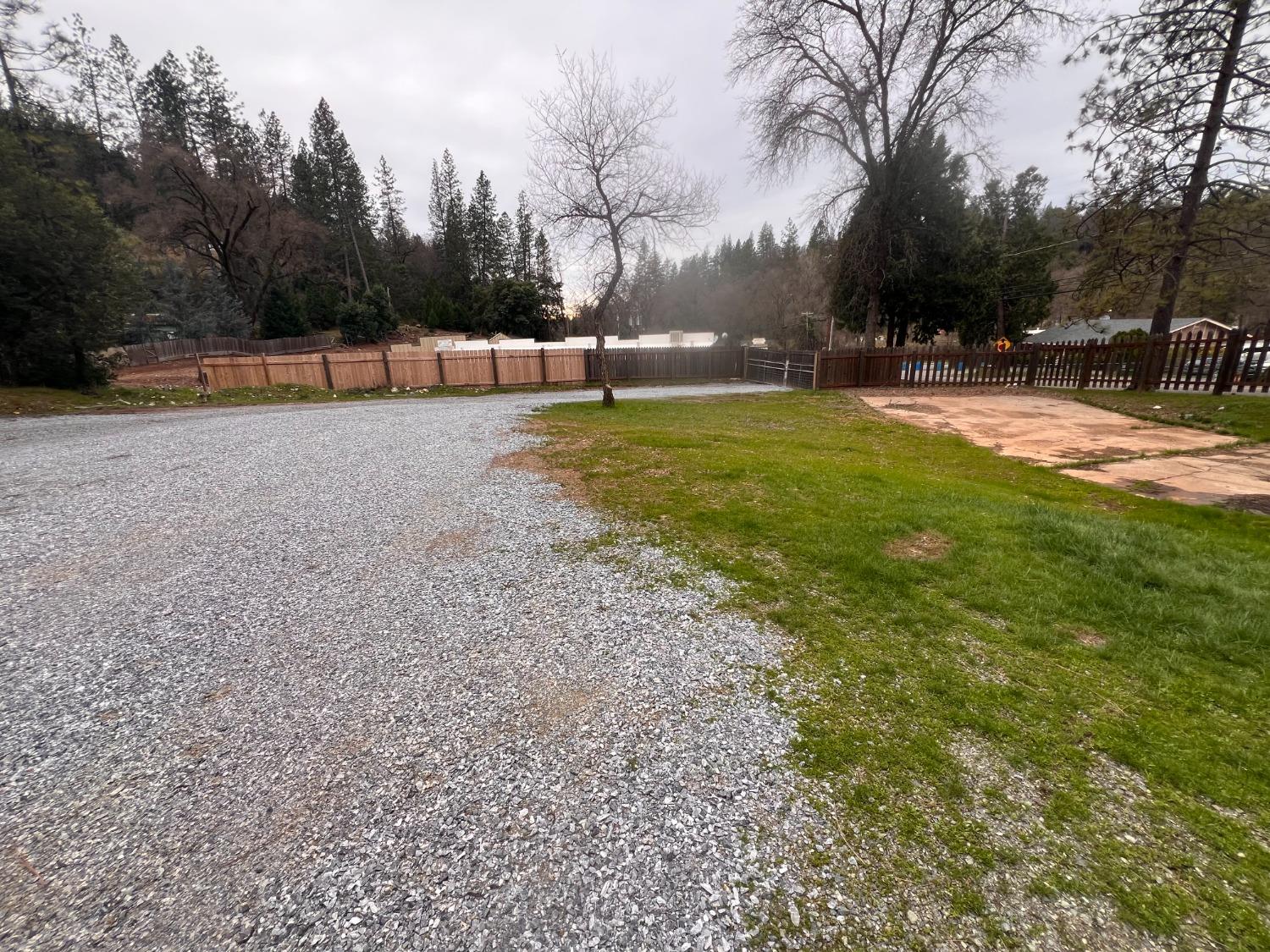 4876 Black Oak Mine Road Garden Valley, CA 95633 - Photo 7 of 31 a view of outdoor space with garden and trees