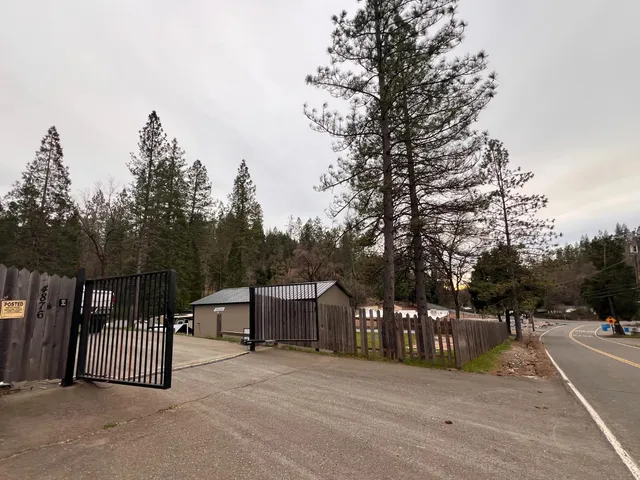 a view of backyard with large tree