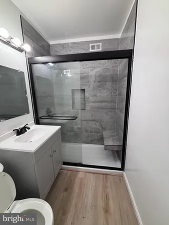 a bathroom with a sink mirror vanity and toilet