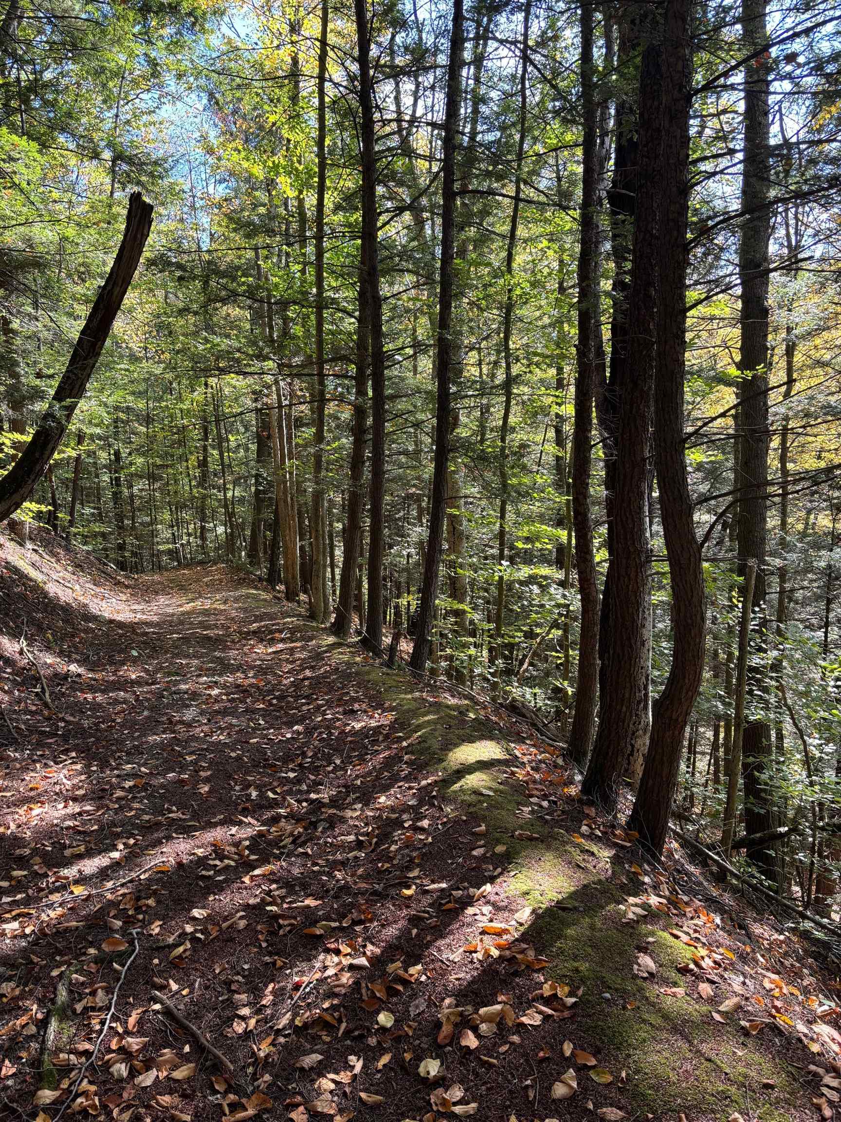 1909 Pine Banks Road Westminster, VT 05346 - Photo 59 of 60