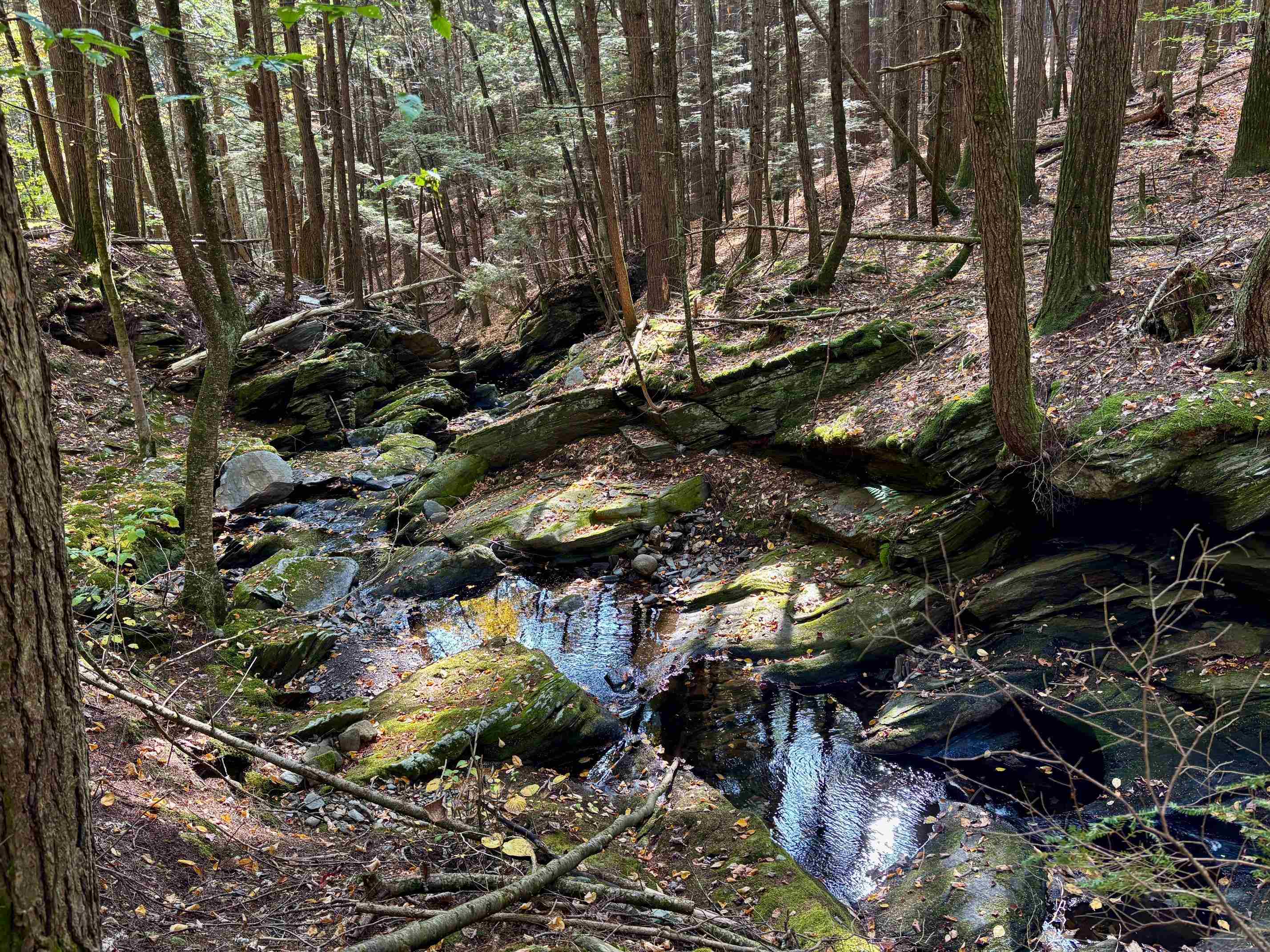 1909 Pine Banks Road Westminster, VT 05346 - Photo 60 of 60