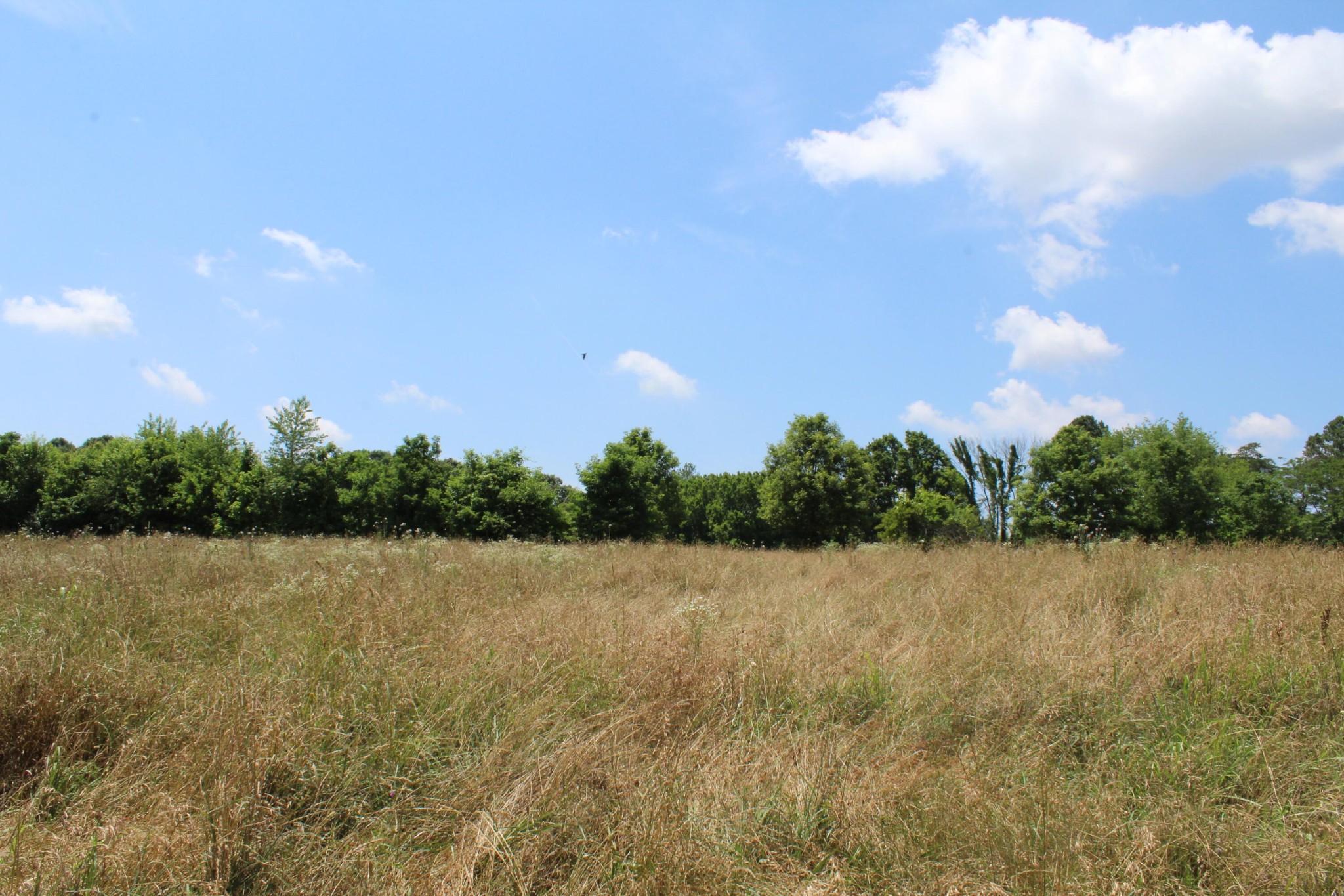 361 Etowah Road Benton, TN 37307 - Photo 9 of 18 Gallery Image 9