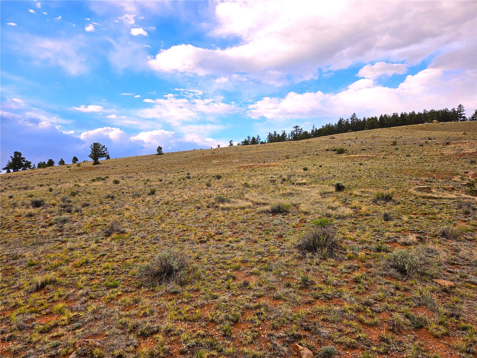 Pcs#25251 Fernando Trail Hartsel, CO 80449 - Photo 20 of 29