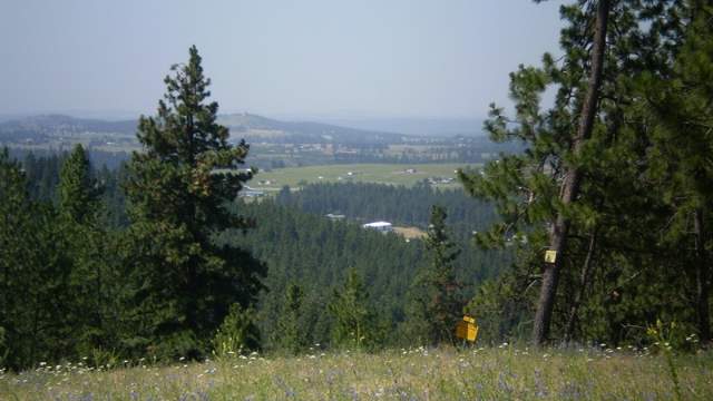 17100 East Temple Road Spokane, WA 99217 - Photo 1 of 7