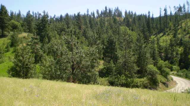 17100 East Temple Road Spokane, WA 99217 - Photo 3 of 7