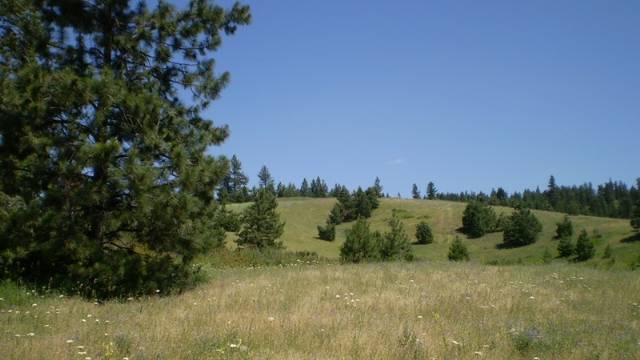 17100 East Temple Road Spokane, WA 99217 - Photo 4 of 7