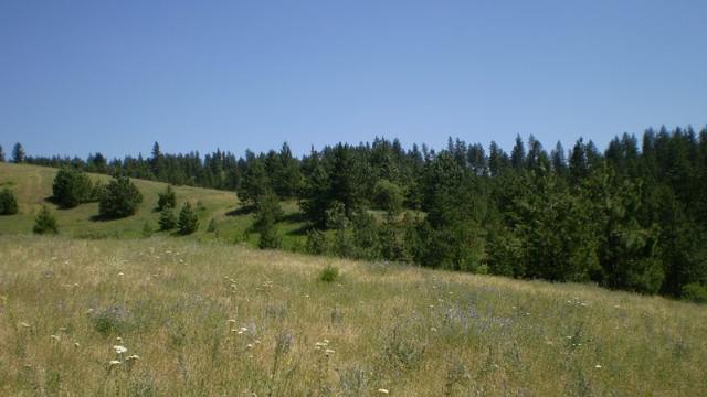 17100 East Temple Road Spokane, WA 99217 - Photo 5 of 7