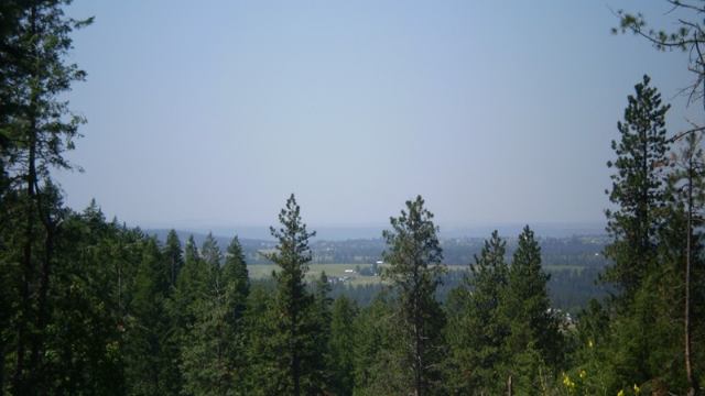 17100 East Temple Road Spokane, WA 99217 - Photo 6 of 7