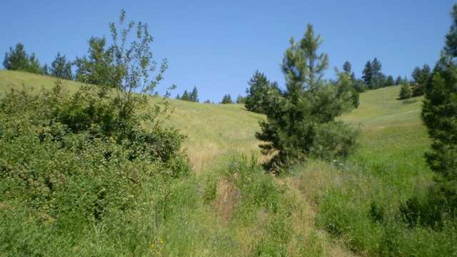 17100 East Temple Road Spokane, WA 99217 - Photo 7 of 7