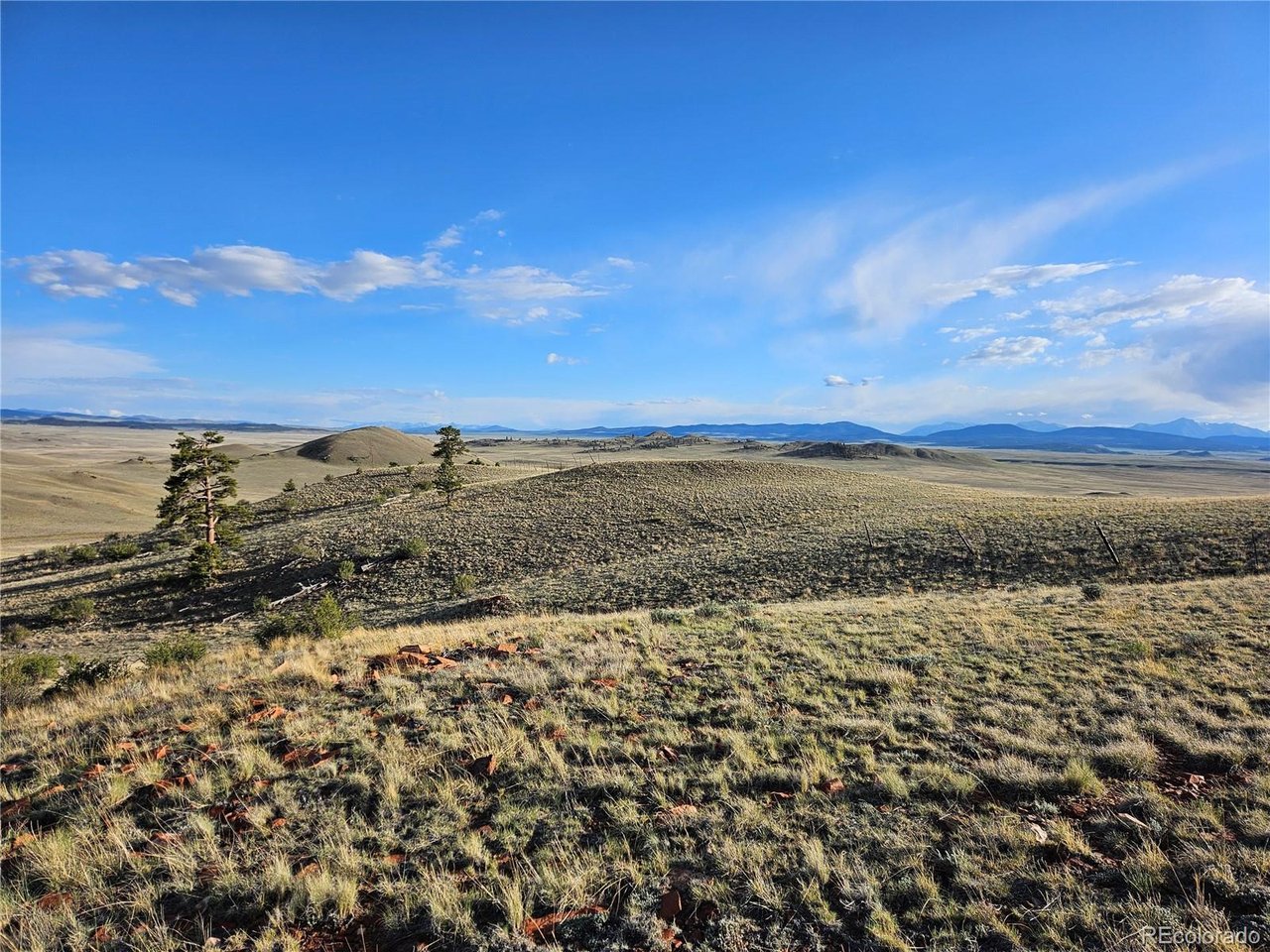 24142 Antero Road Hartsel, CO 80449 - Photo 30 of 48