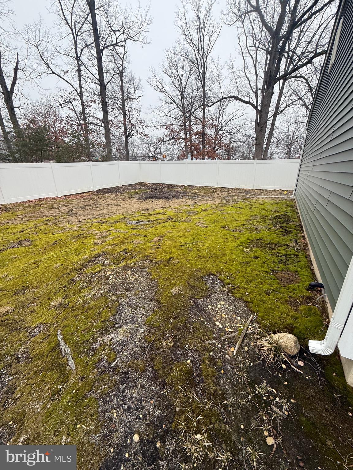 1521 Hickstown Road Sicklerville, NJ 08081 - Photo 25 of 28 a view of an outdoor space and trees