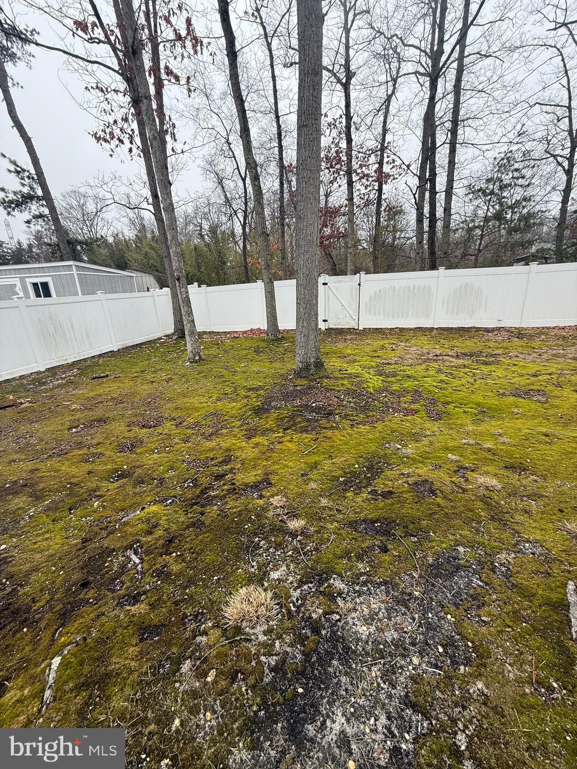 1521 Hickstown Road Sicklerville, NJ 08081 - Photo 26 of 28 a view of yard with large trees