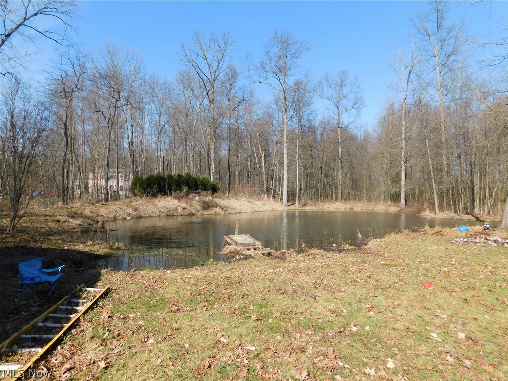 10631 Gilbert Road Newton Falls, OH 44444 - Photo 12 of 23 Gallery Image 12
