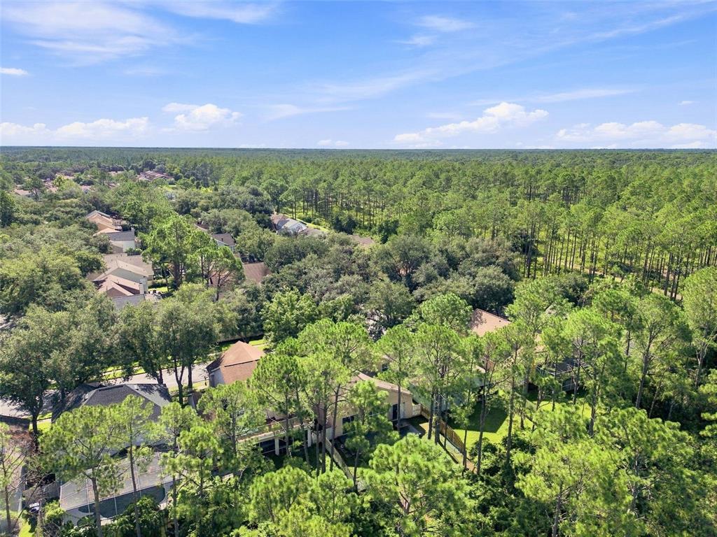 17708 Long Ridge Road Tampa, FL 33647 - Photo 69 of 100 Gallery Image 69