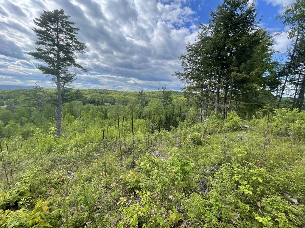 46-2 Benton Road, Unit 2 North Haverhill, NH 03774 - Photo 21 of 45