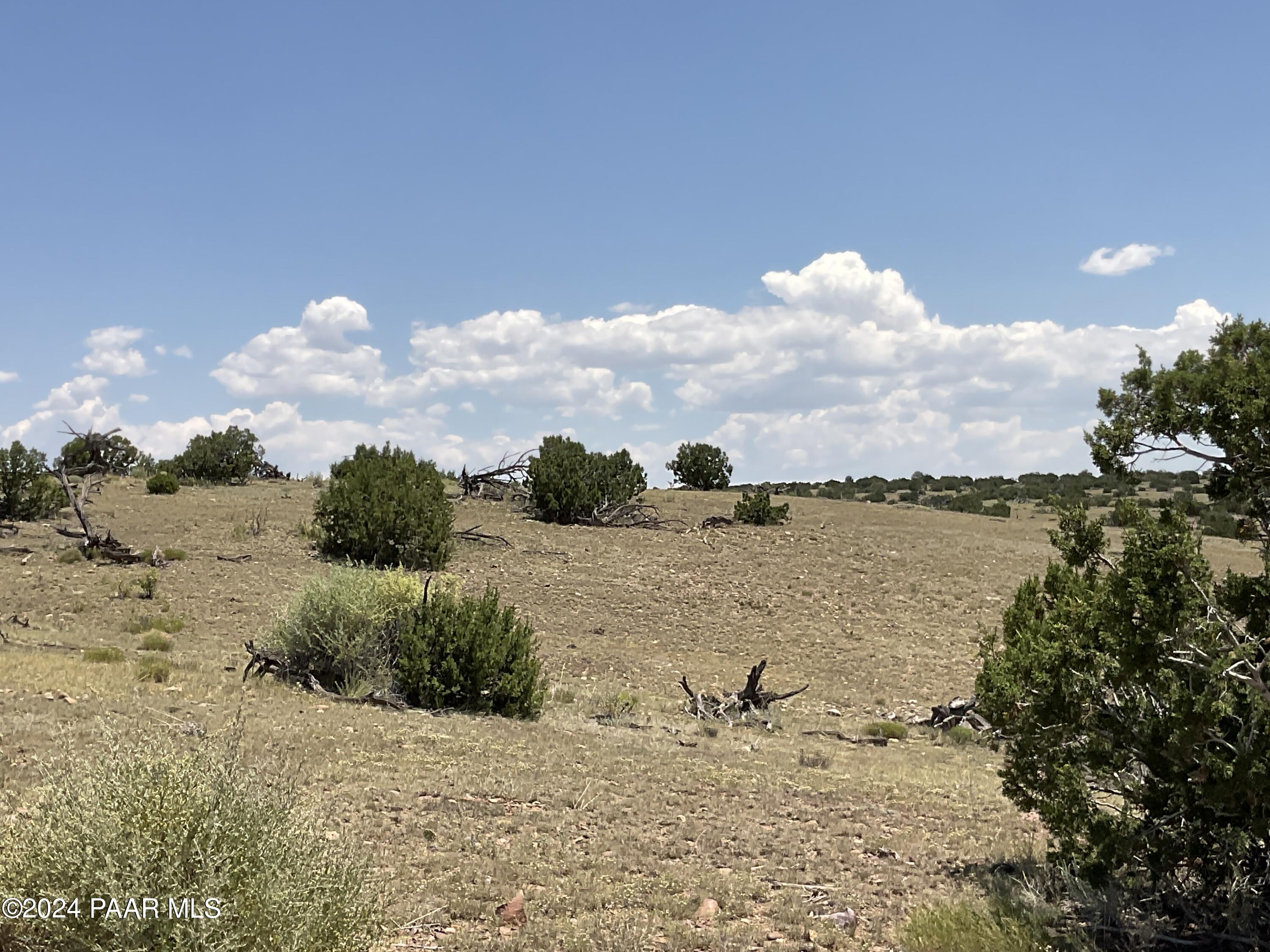 6379 County Road St. Johns, AZ 85936 - Photo 21 of 29 IMG_3119(1)
