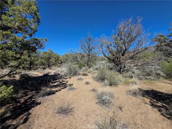 $15,000 | 39 Blk 8 Drive, Montague, CA 96064