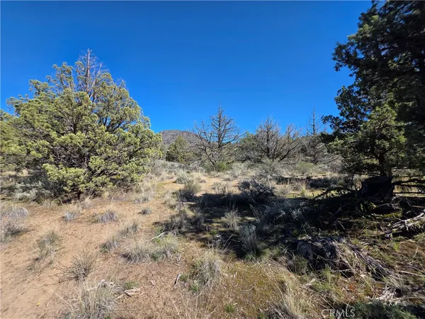 $15,000 | 39 Blk 8 Drive, Montague, CA 96064