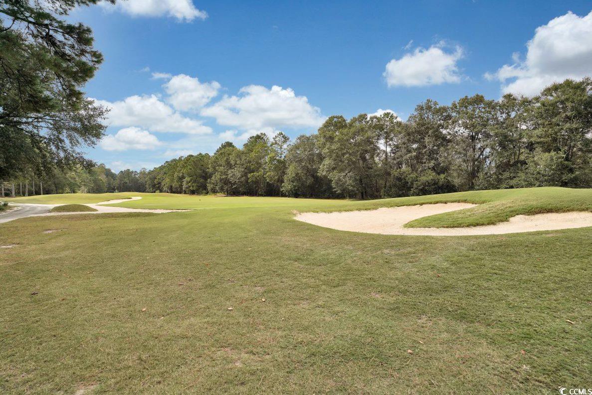 985 Cherrystone Loop Conway, SC 29526 - Photo 27 of 40