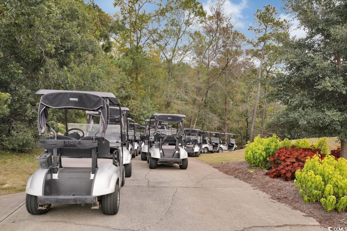 985 Cherrystone Loop Conway, SC 29526 - Photo 28 of 40