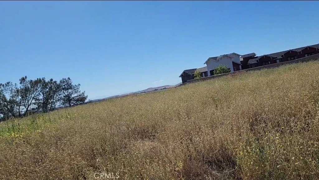 0 Foothill Oroville, CA 95966 - Photo 26 of 53 a view of a large yard with plants and large trees