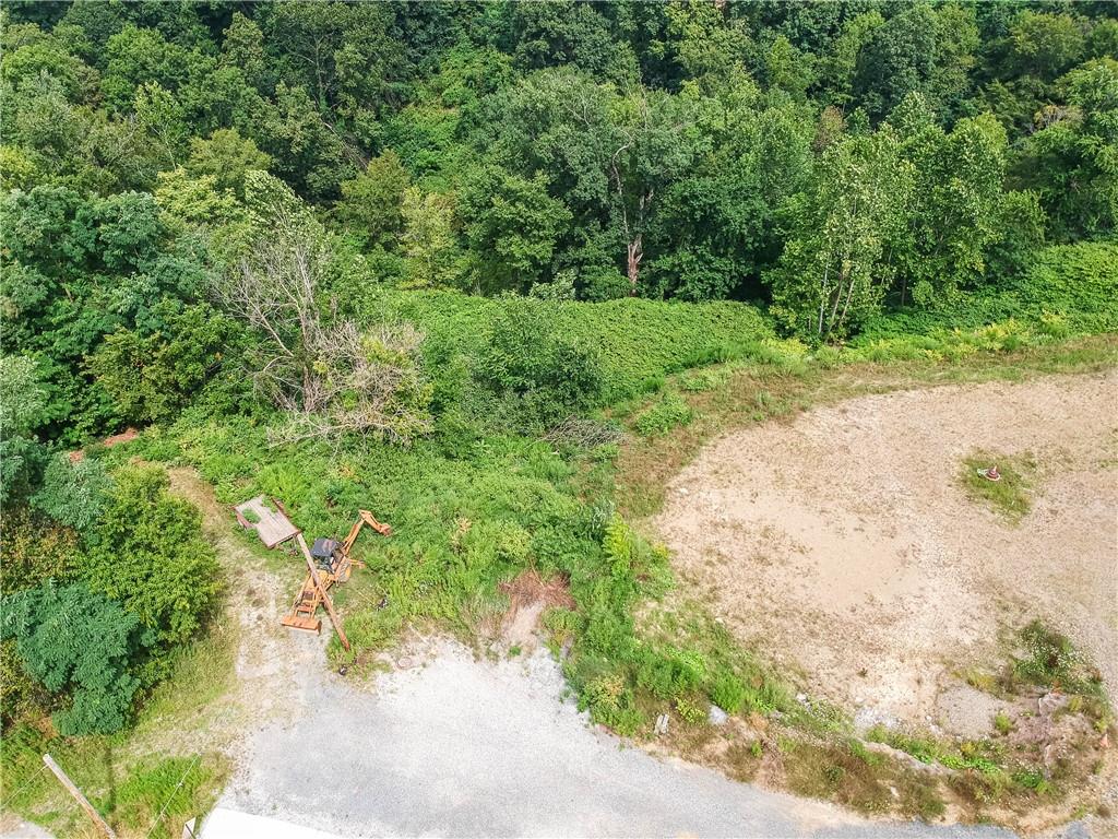 Lot 1 Beaver Grade Road McKees Rocks, PA 15136 - Photo 7 of 8 a view of a yard with plants